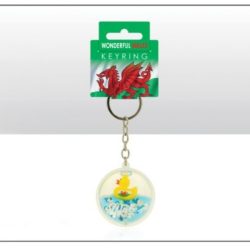 Wales Floating Duck Keyring