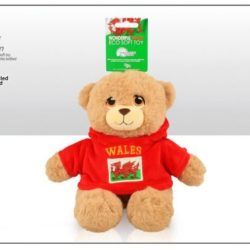 Wales 20cm Fleece Hoodie Soft Toy Bear